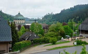 Dom-I-Ziel Apartments