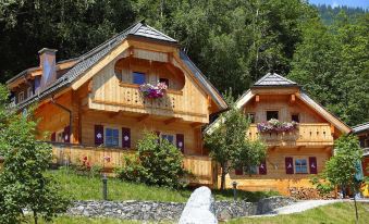 Chalet in Neukirchen for 4 People
