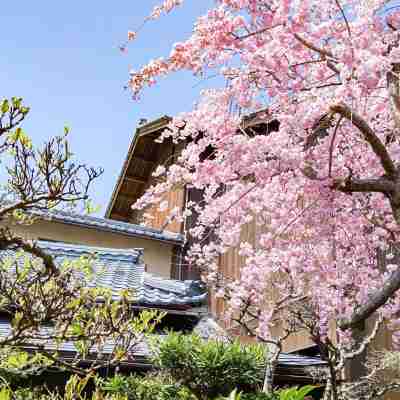 あわら温泉 伝統旅館のぬくもり 灰屋 Hotel Exterior