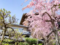 Haiya The traditions of warm and friendly hospitality Hotels in Awara