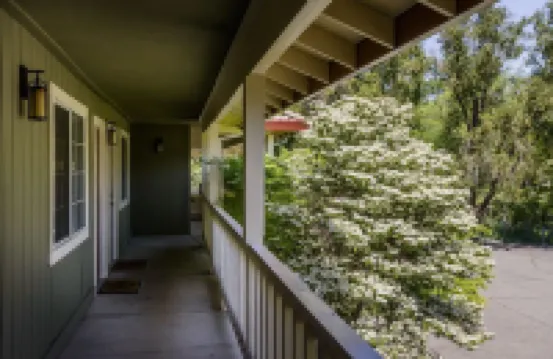 The Jack London Lodge