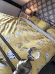 The Little Angel