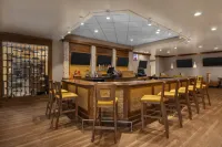Holiday Inn DUBUQUE/GALENA by IHG - bar