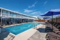The Surf Club