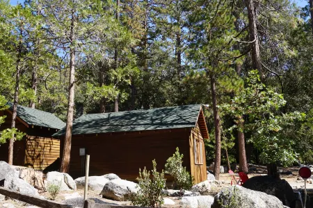 Charming Cabin with Scenic Surroundings - Cozy Mountain Retreat