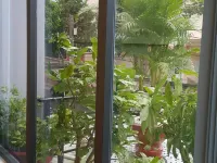 Tomorrow Hostel Vung Tau - Tomorrow Homestay Hotels in der Nähe von Strand Bãi Trước