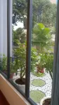 Tomorrow Hostel Vung Tau - Tomorrow Homestay - Hostales
