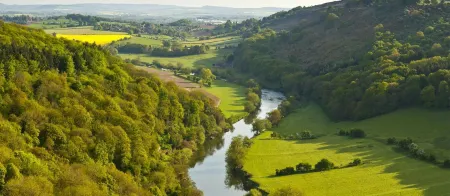 Kensington Place - 4 Bedroom Home w Free Parking