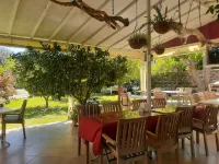 Sunset Boutique Hotel & Apartments Hotels in Ulupınar