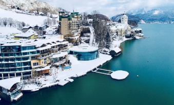 Scalaria Sunset Wing