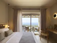 米科諾斯科利尼酒店 - SPA