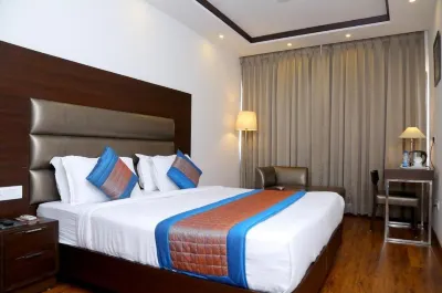 호텔 더 알 블루스 뉴델리 마히팔퍼 호텔