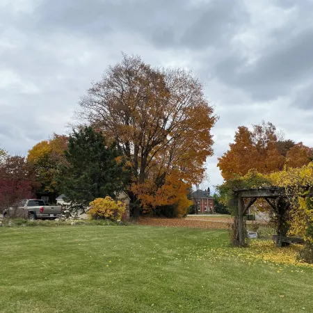 Rocklyn Inn Bed & Breakfast