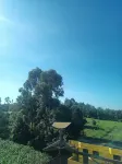Rosablu Hotel Kutus Hotels in Sagana
