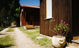 Camping Rural Ría de Arosa II