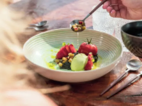 デルフィンズ ビーチ リゾート ボネール, タペストリー コレクション バイ ヒルトン クラレンダイクのホテル