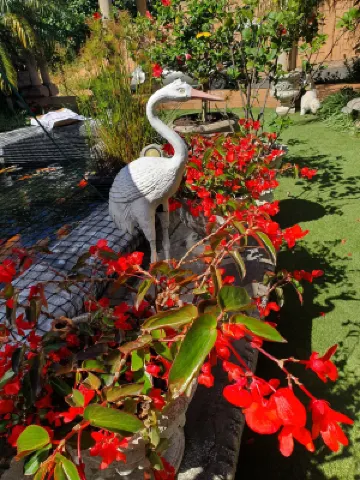 Centre Court B&B Hotels near Umhlanga Scuba