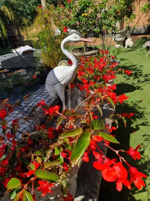 Centre Court B&B Hotels near Virginia Airport
