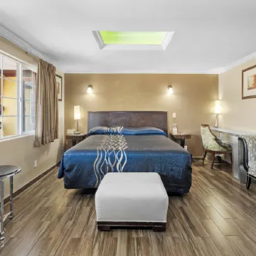 Sky Palm Motel - Orange