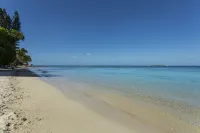 城堡皇家海灘度假村及Spa，努美阿 - Wi-Fi