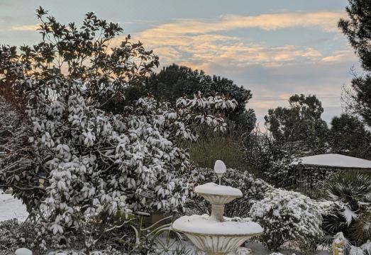 레 브뤼에르 뒤 몽