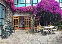 El Ancla Các khách sạn ở Laredo
