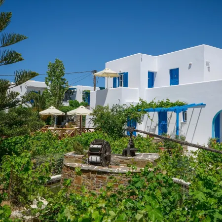 Agios Prokopios Hotel Отели рядом с достопримечательностью «Пляж Плака»