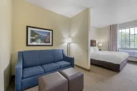 Comfort Suites Lake Geneva East