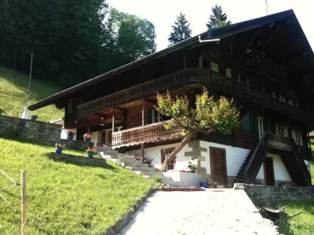Spacious Swiss Alpine Chalet for Nature Lovers Отели в г. Валь-д'Илье