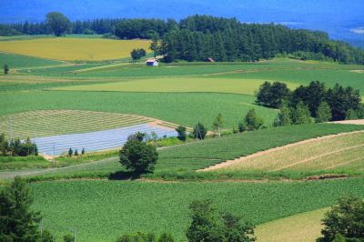 ホテル周辺 笑顔咲く宿 めぐみ雪の写真