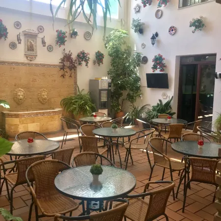 Hotel de Los Faroles Отели рядом с достопримечательностью «Дворец Виана»
