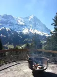 格林德瓦青年旅館 - 山景