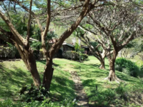 Secrets Papagayo Costa Rica Hoteles en Sardinal