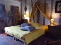 Chambres d'hôtes - Chateau de Chemery Hotels in Contres