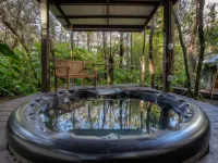 Volcano Mist Cottage فنادق في فولكانو