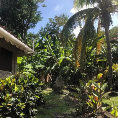 Petite Anse Hotel