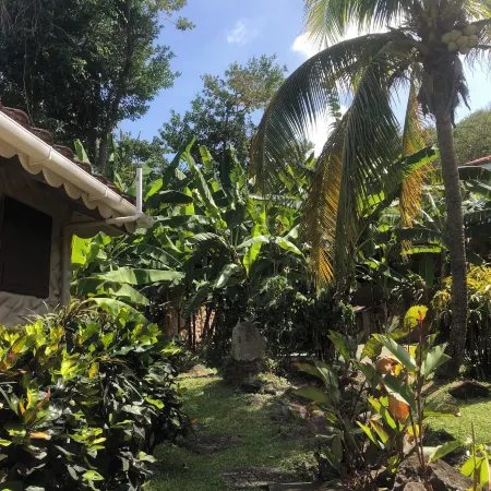 Petite Anse Hotel Отели в г. Gouyave