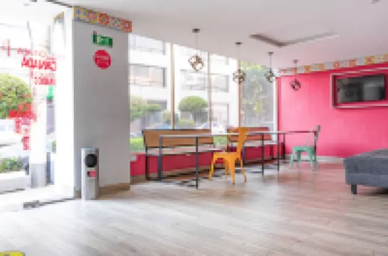 캐피탈 오 프리다 코스타줄