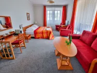 LH Hotel Dvořák Tábor Congress & Wellness Hotels in Tabor