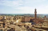 Top Floor - Franciosa