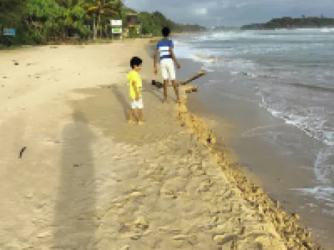 Moragalla Beach Home Guesthouse (Newly Opened Hotel) Hotels in Beruwala