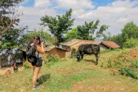 Frama Nature Adventure Hotels in Burera