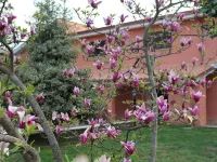Bed and Breakfast Il Sottosopra Hotel a Labico