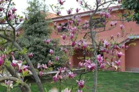 Il Sottosopra Hotels in Labico