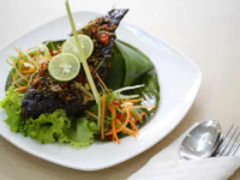 朋庫盧艾瑪利斯酒店 明古魯酒店