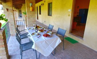 Attractive Farmhouse in Montalcino with Terrace