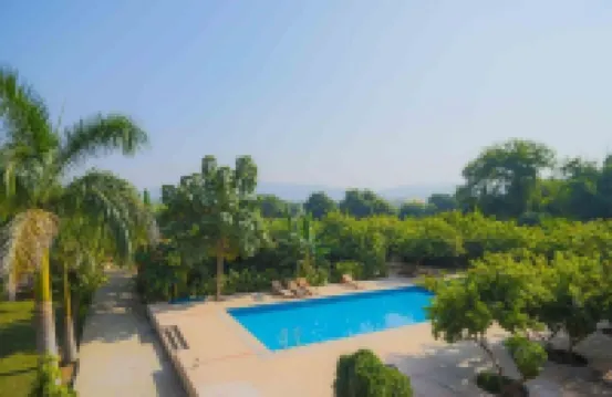 Ranthambore Tiger Inn Comfort Resort - Kitchens
