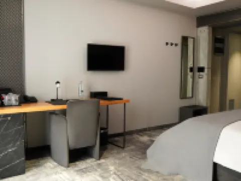 Aniroc Signature Hotel Hotels in Arad