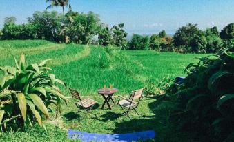 Pondok Apsari 2