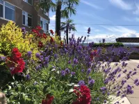 Waterfront Balcony Retreat -Steps to Pike Place & Aquarium Hotels in Pike Market District